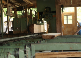 Sägeprozess im Sägewerk der Beer-Holz AG in Meiringen Sägeprozess im Sägewerk der Beer-Holz AG in Meiringen