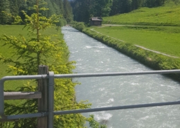 Naturlandschaft mit Bergbach und Wald im Haslital bei Meiringen Naturlandschaft mit Bergbach und Wald im Haslital bei Meiringen
